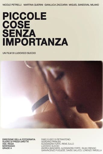 Piccole cose senza importanza poster