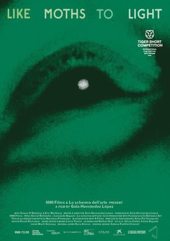 like moths to light poster