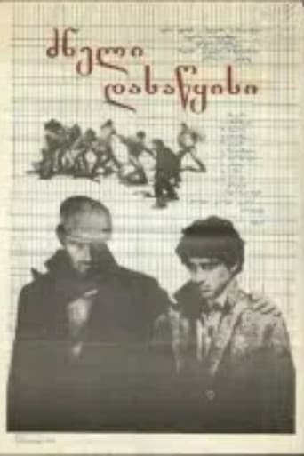 A Difficult Beginning poster