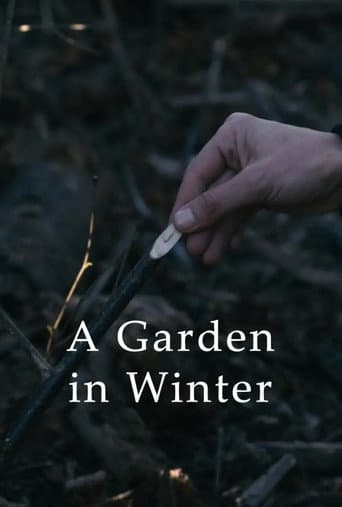 A Garden in Winter poster