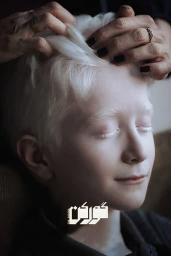 The Badger poster