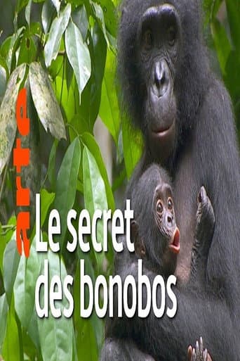 La vie cachée des bonobos poster