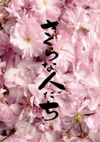 Looking for Cherry Blossoms poster