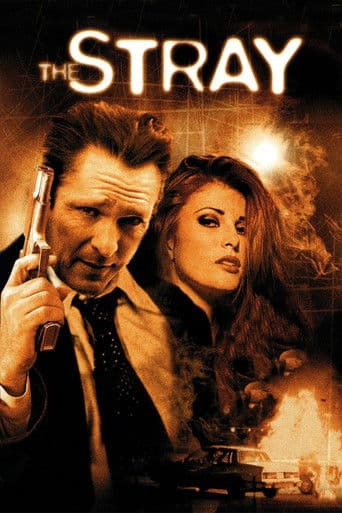 The Stray poster
