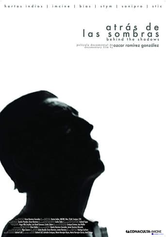 In the Shadows poster