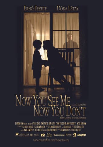 Now You See Me, Now You Don't poster