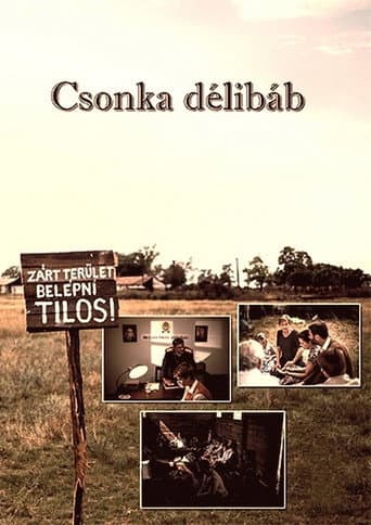Csonka délibáb poster