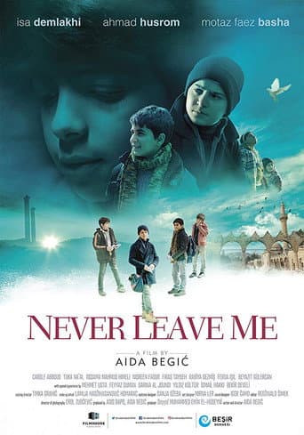 Never Leave Me poster
