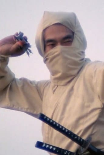 Re-Enter the 'New York Ninja' poster