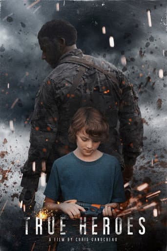 True Heroes poster