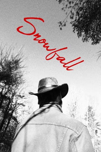 Snowfall poster