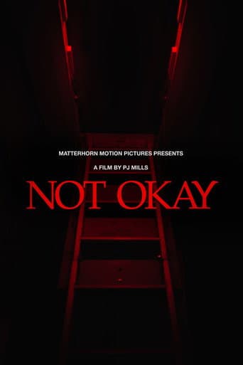 Not Okay poster