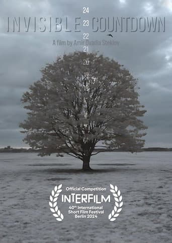 Invisible Countdown poster
