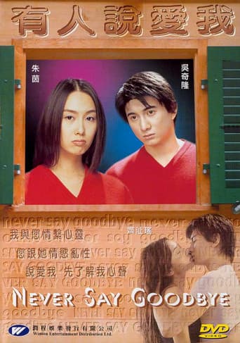 Never Say Goodbye poster
