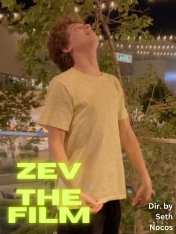 The Zev Filem poster