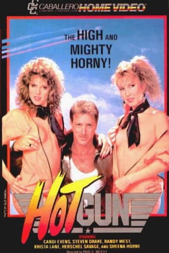 Hot Gun poster