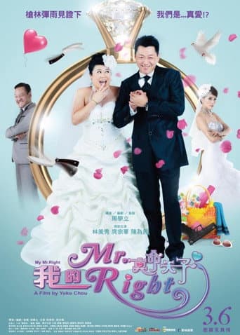 我的Mr. Right poster