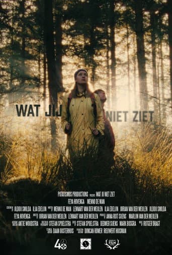 wat jij niet ziet poster