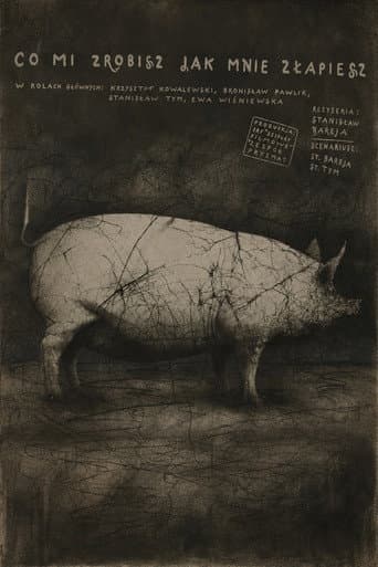 What Will You Do When You Catch Me? poster