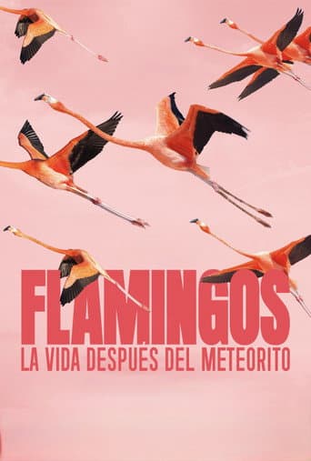 Flamingos: Life After the Meteorite poster