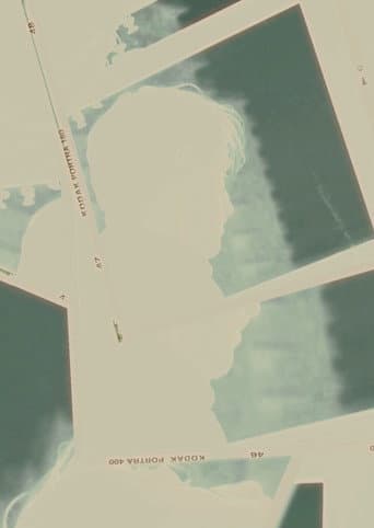 Concealment poster