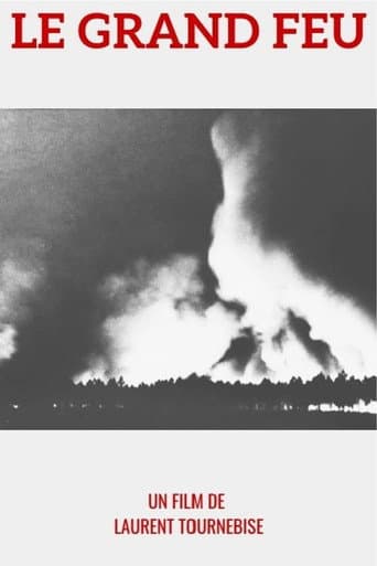 1949 : le Grand feu poster
