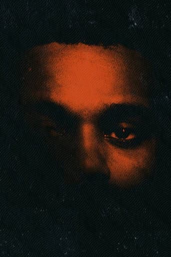 He Was Never There, Docupoem poster