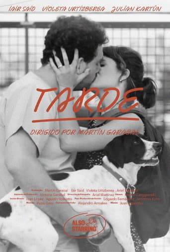 Tarde poster