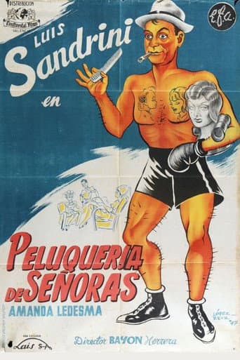 Peluquería de señoras poster