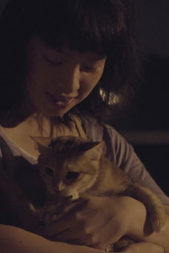 Stray Cat poster