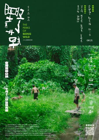 The Perks of Being Wild poster