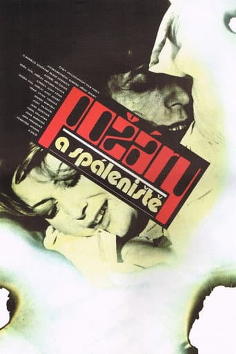 Požáry a spáleniště poster