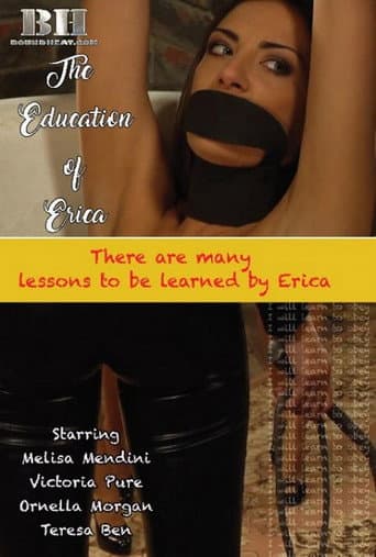 The Education Of Erica poster