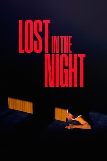 Lost in the Night poster