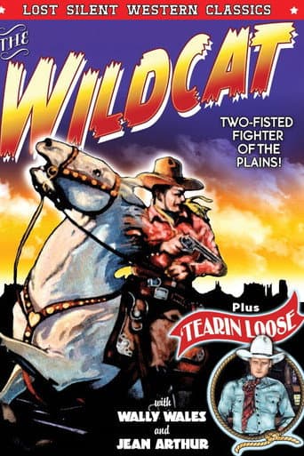 Tearin' Loose poster