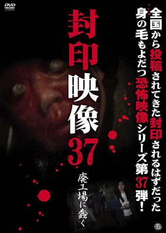 Sealed Video 37: Wriggle in an Abandoned Factory poster