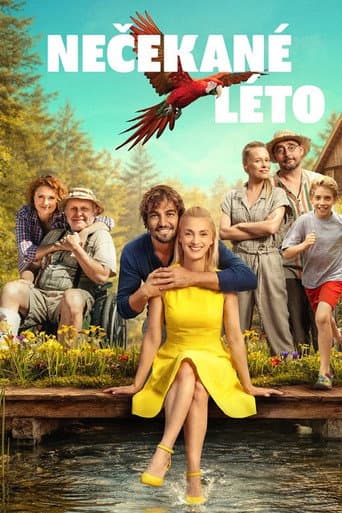 Nečekané léto poster