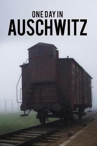 Auschwitz - One Day poster