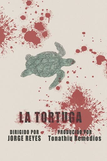 The Turtle poster