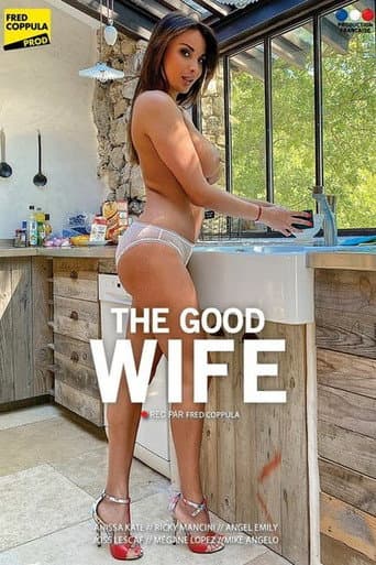 The Good Wife poster