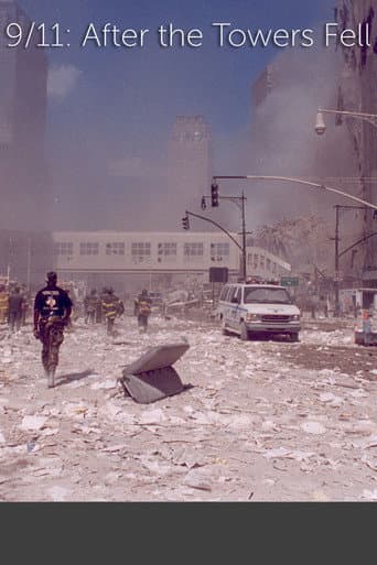 9/11: After The Towers Fell poster