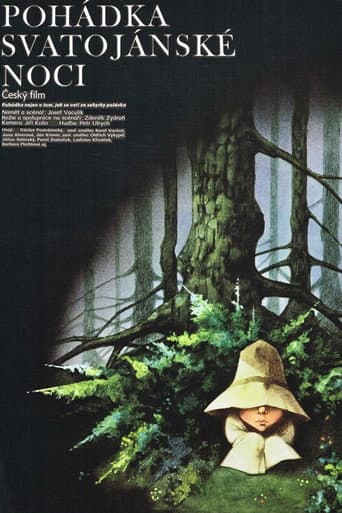 Pohádka svatojánské noci poster