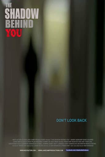 The Shadow Behind You poster