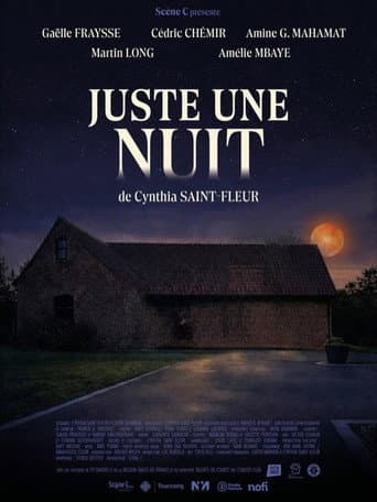 Juste une Nuit poster
