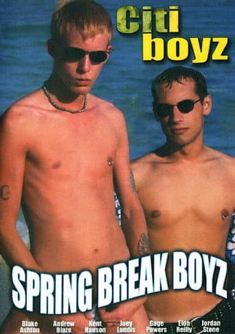 Citi Boyz 13: Spring Break Boyz poster