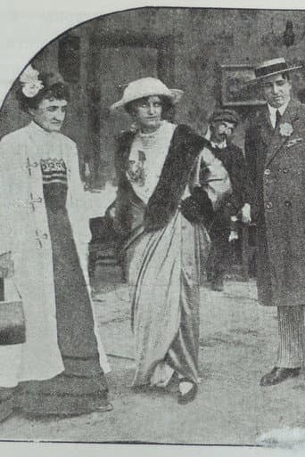 Mother-in-law in the Harem poster