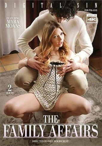 The Family Affairs poster