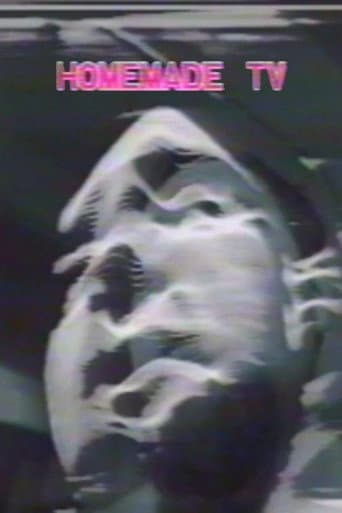 Homemade TV: Vasulkas II poster