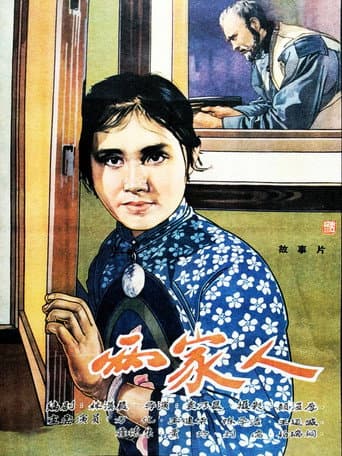两家人 poster