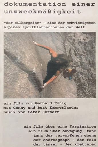 Dokumentation einer Unzweckmäßigkeit poster